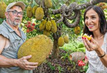 Ne-am întors la Petre! Turul fermei de fructe exotice din Australia: schimbări mari după 3 ani! TbFructeExoticeHaiHuiInDoi51 copy